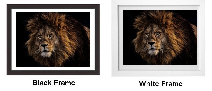 Select Your Frame Select Your Frame